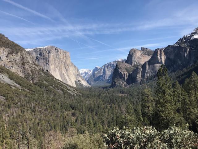 Yosemite Haven @ Pine Mountain Lake. Dog Friendly! Groveland Zewnętrze zdjęcie