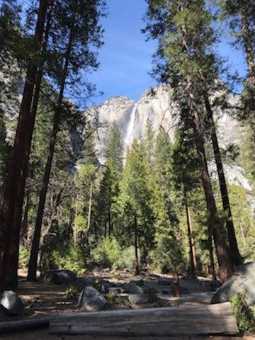 Yosemite Haven @ Pine Mountain Lake. Dog Friendly! Groveland Zewnętrze zdjęcie